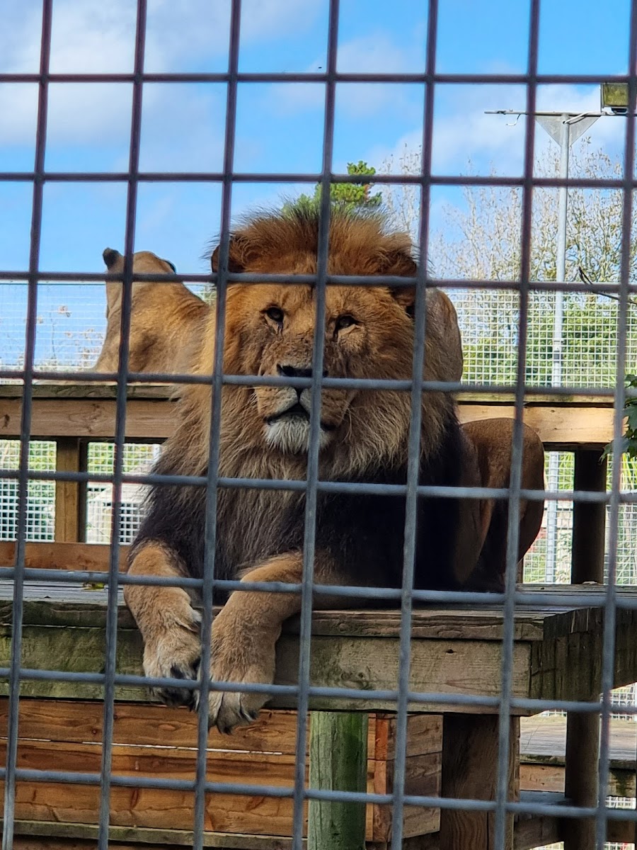 Newquay Zoo