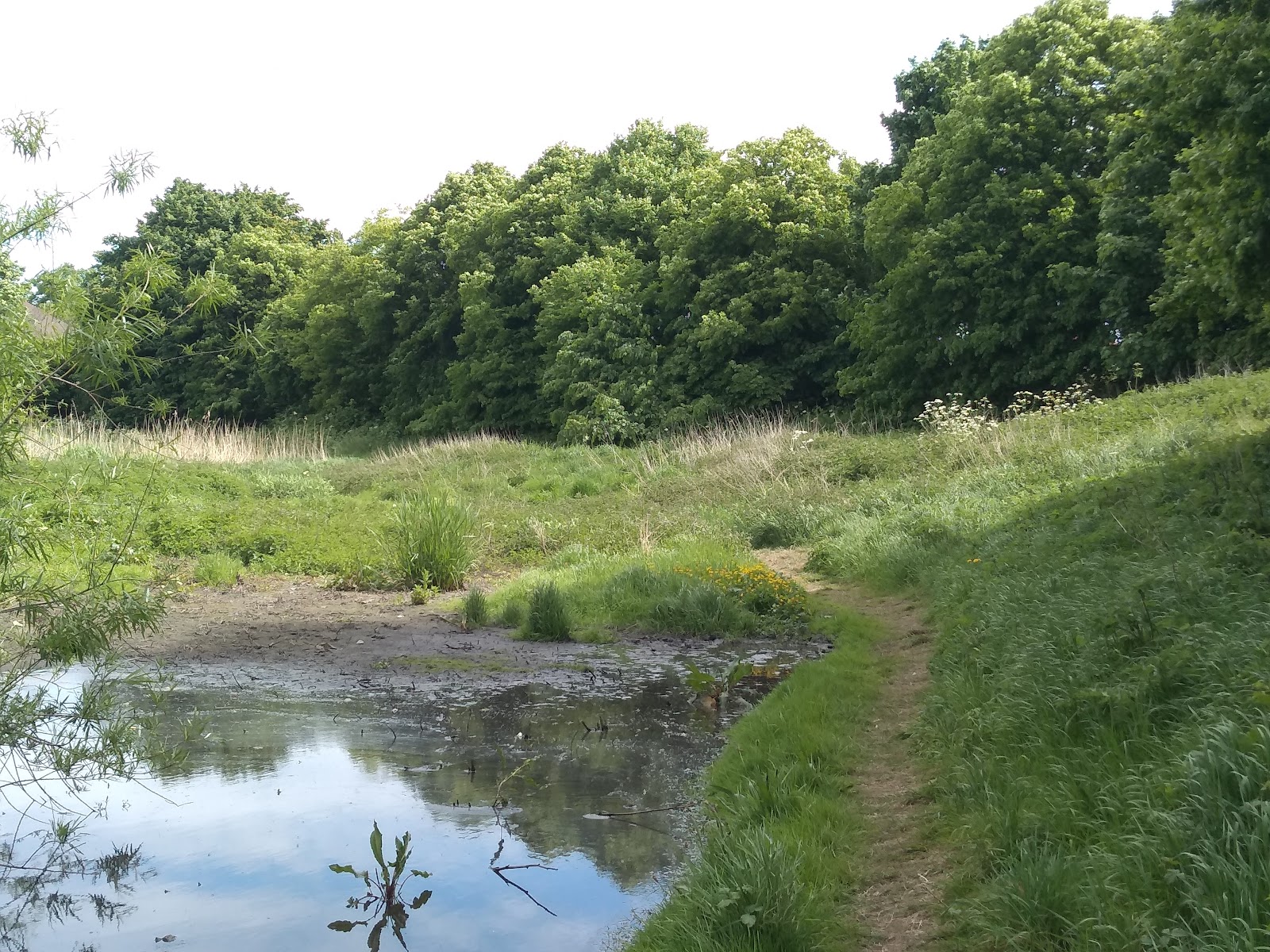 Valley Road Park