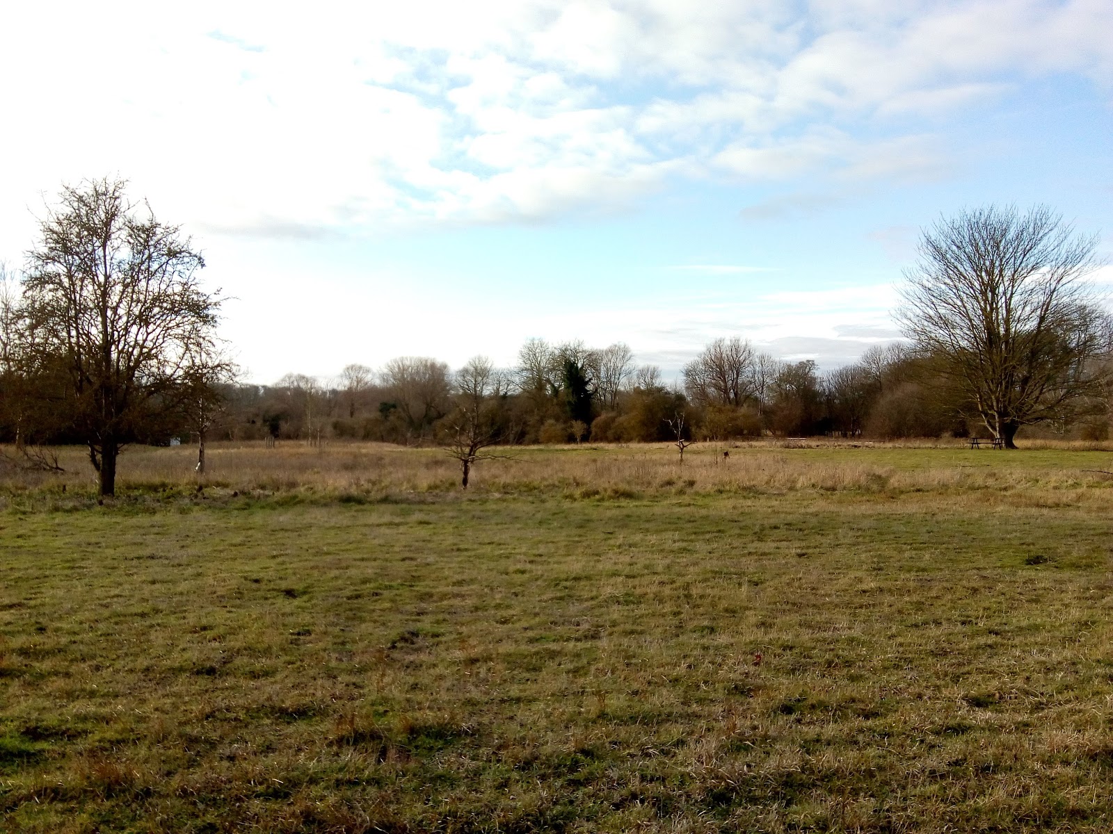 Stockbridge Meadows