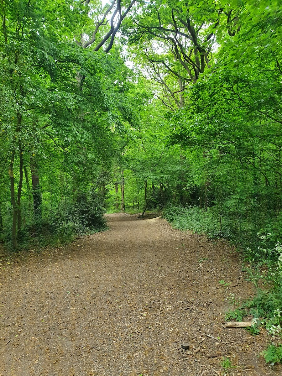 West Wood