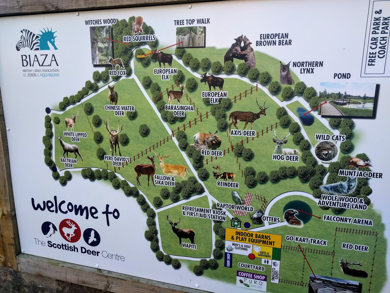 The Scottish Deer Centre