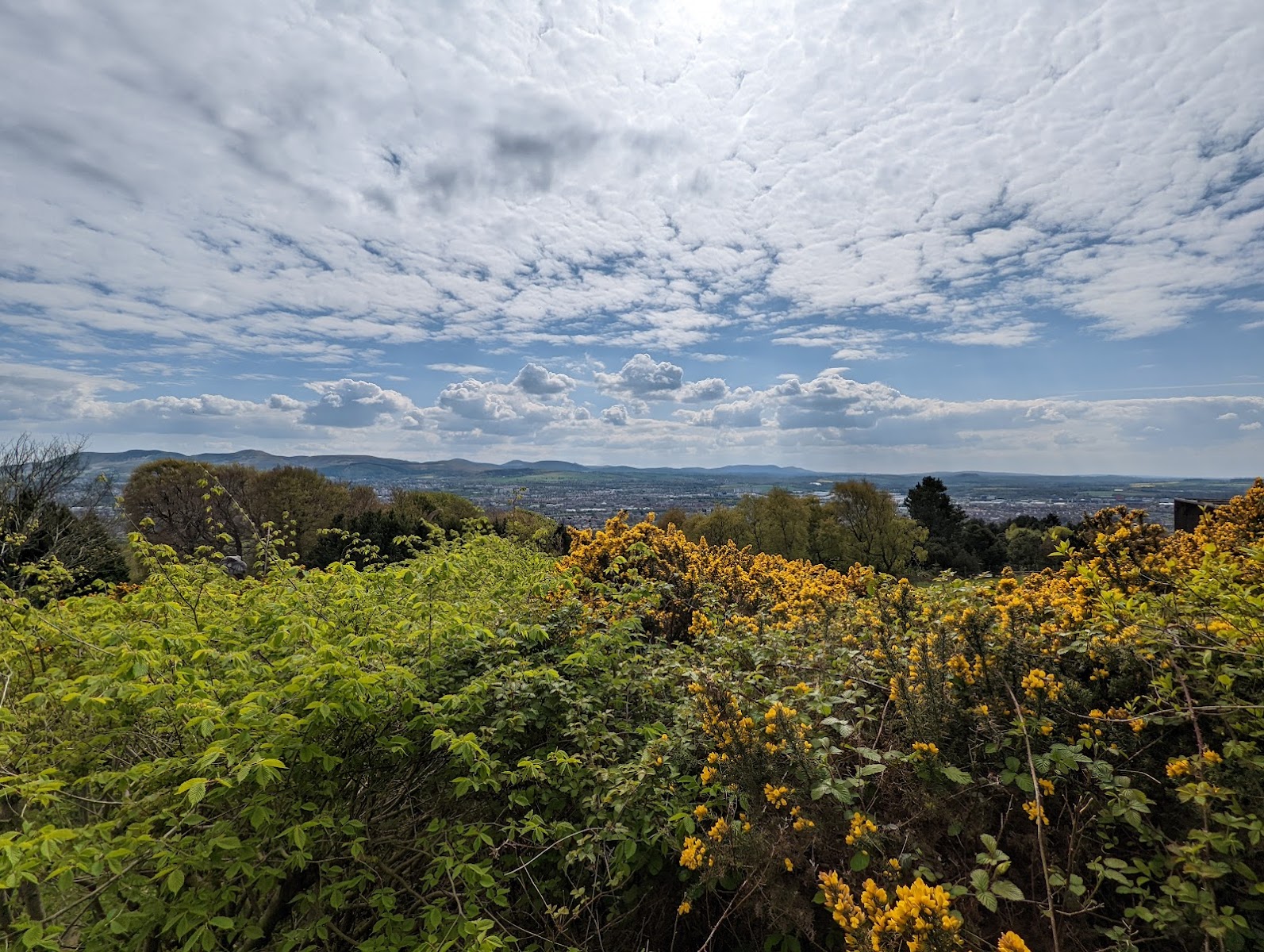 Hilltop Viewpoint Edinburgh Zoo