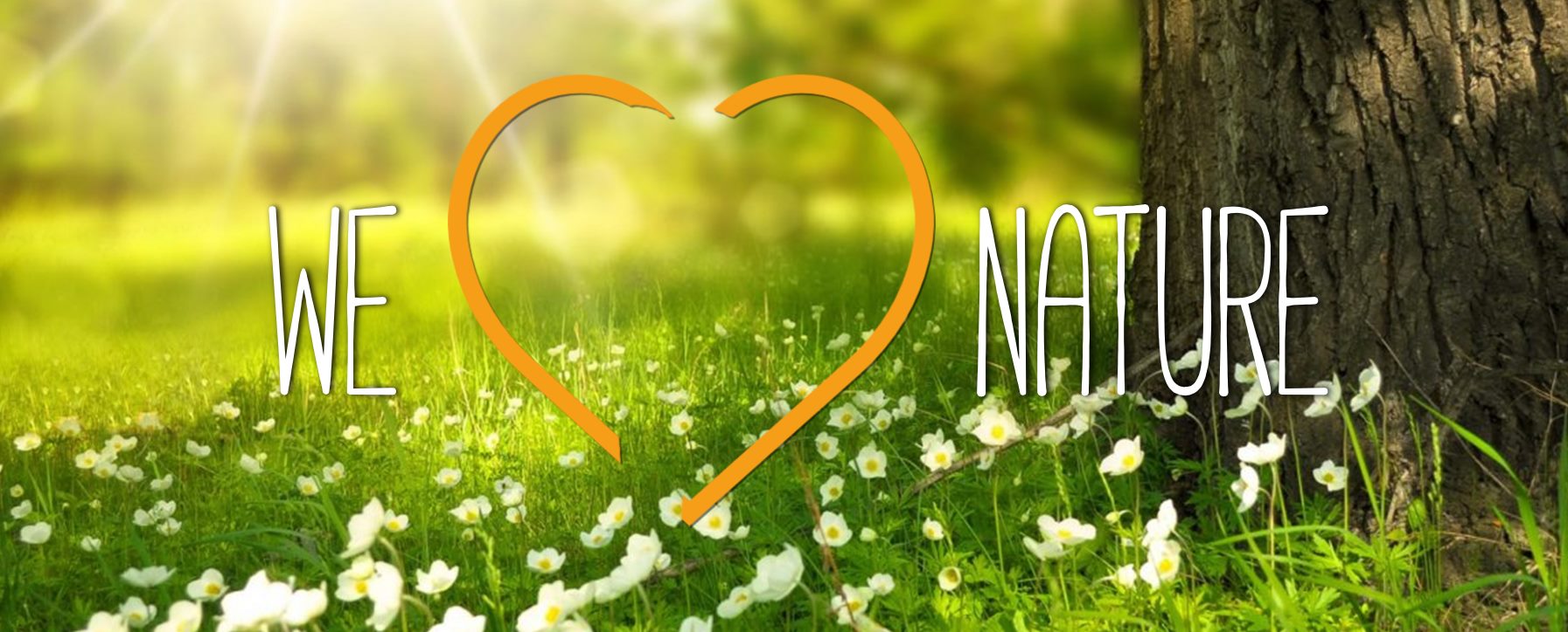 Nature & Bliss