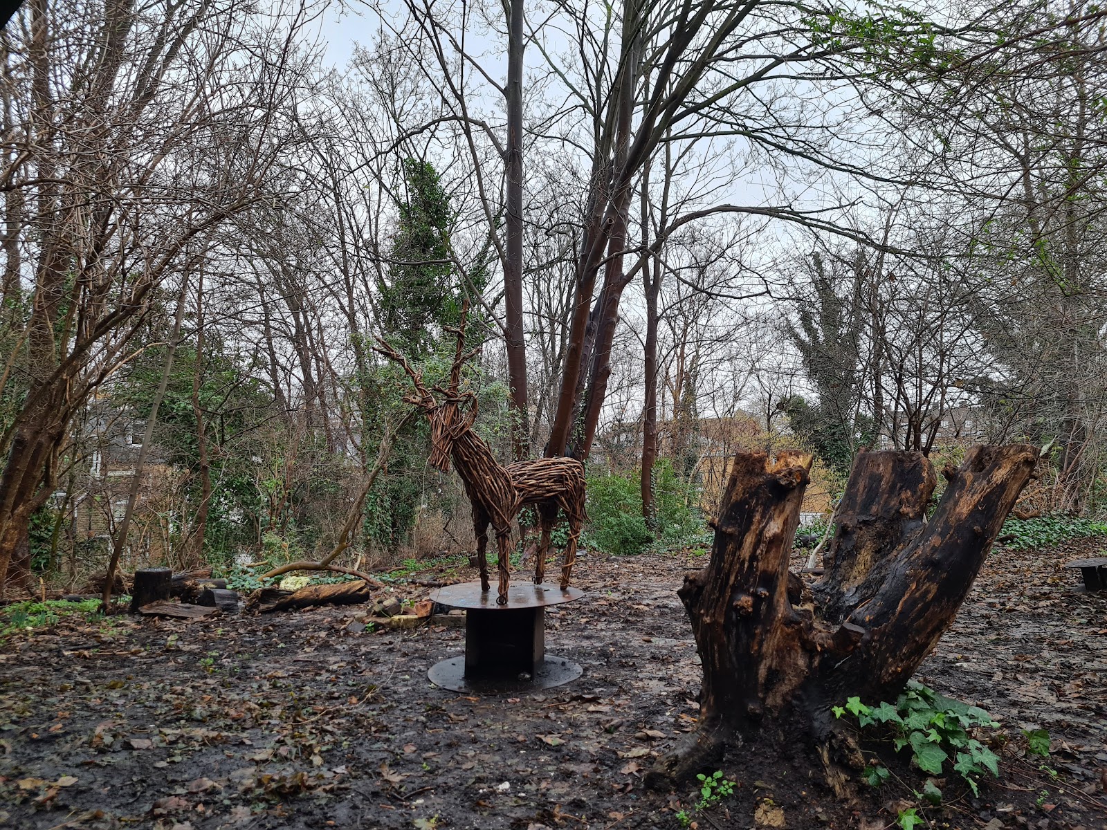 Budding Explorers Forest School