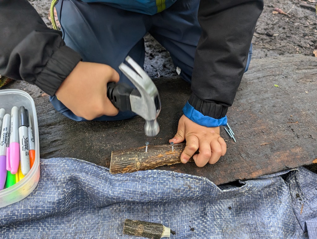Wild-Beginnings Holistic Learning