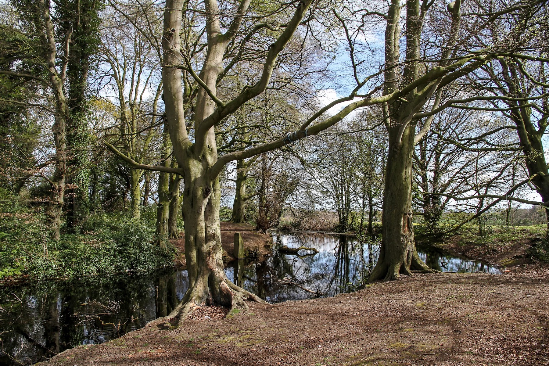 Sandfield Natural Play Centre