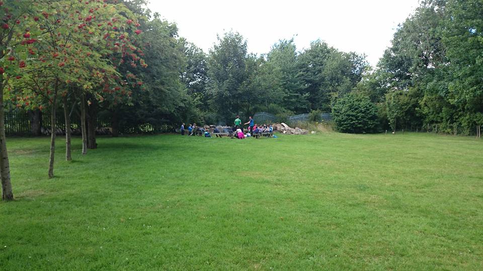 Nest in the Woods Grappenhall