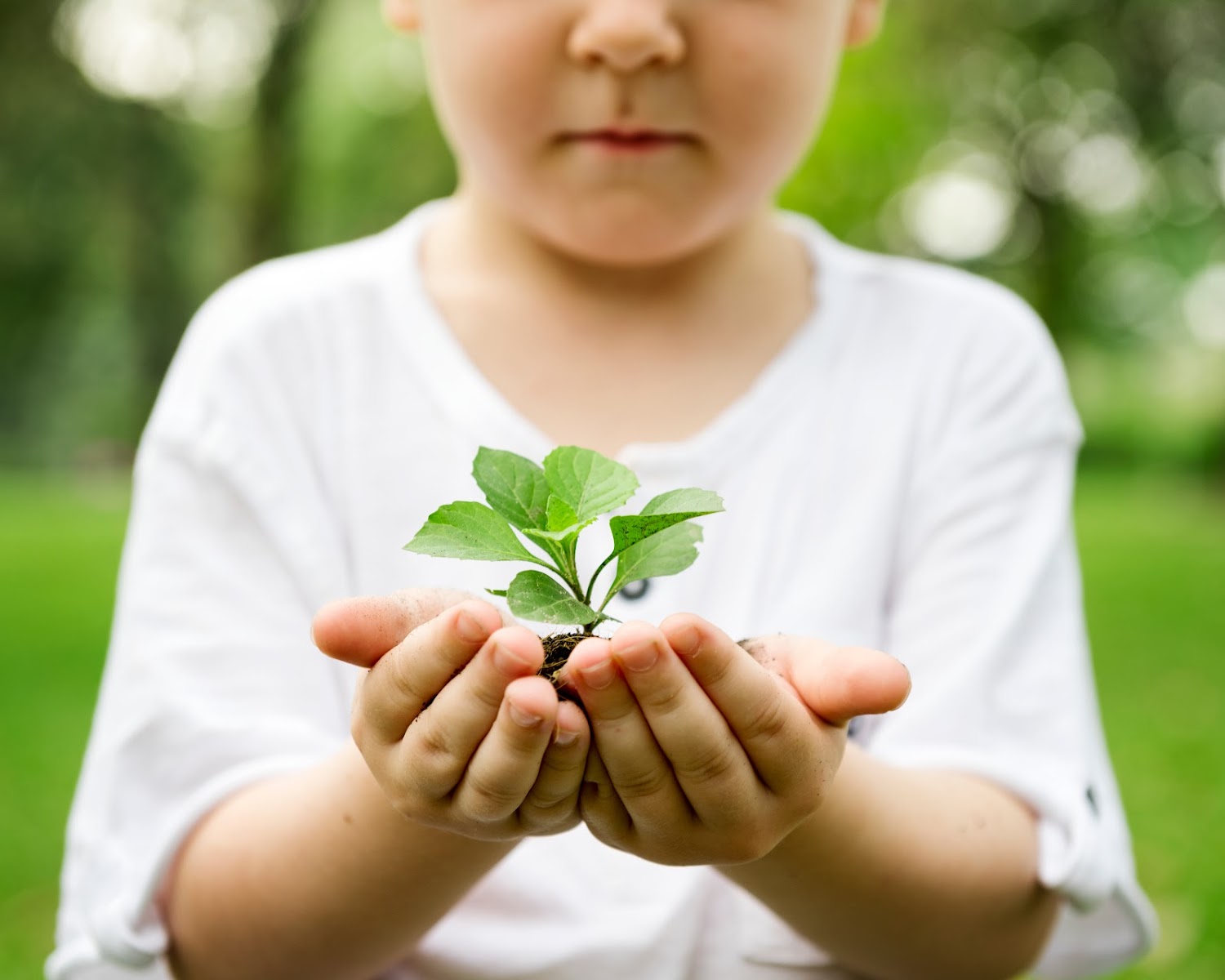 Nurture, Grow & Learn Nursery + Pre School