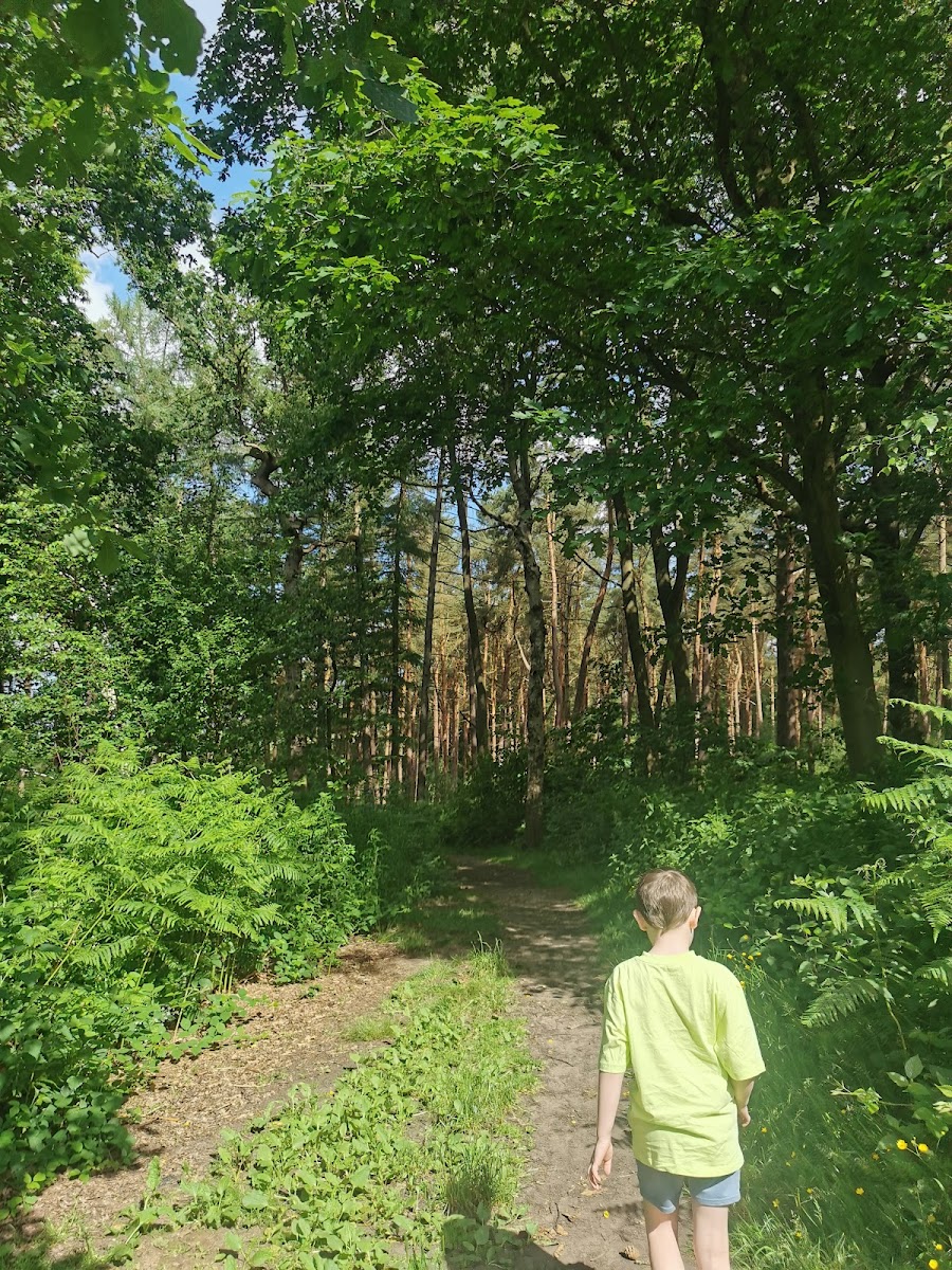 Delamere Forest Outdoor Education Centre