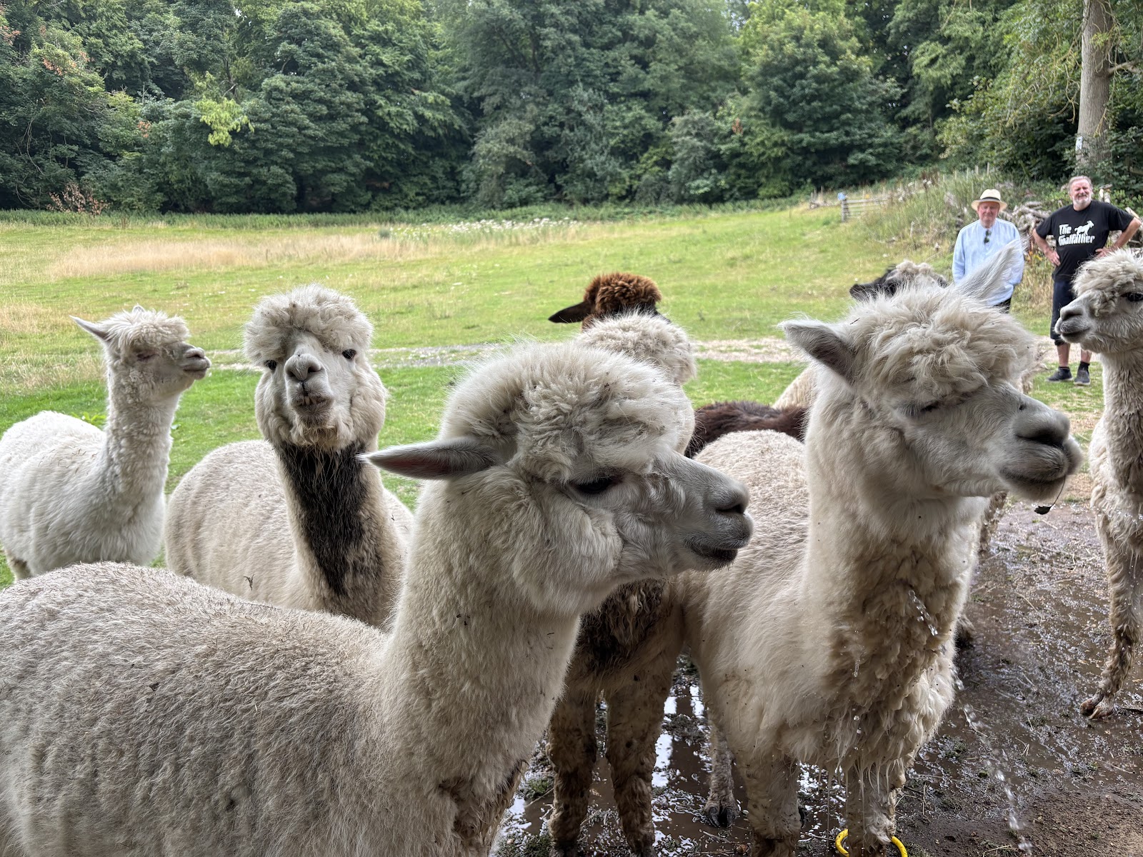 Homerswood Farm Experiences