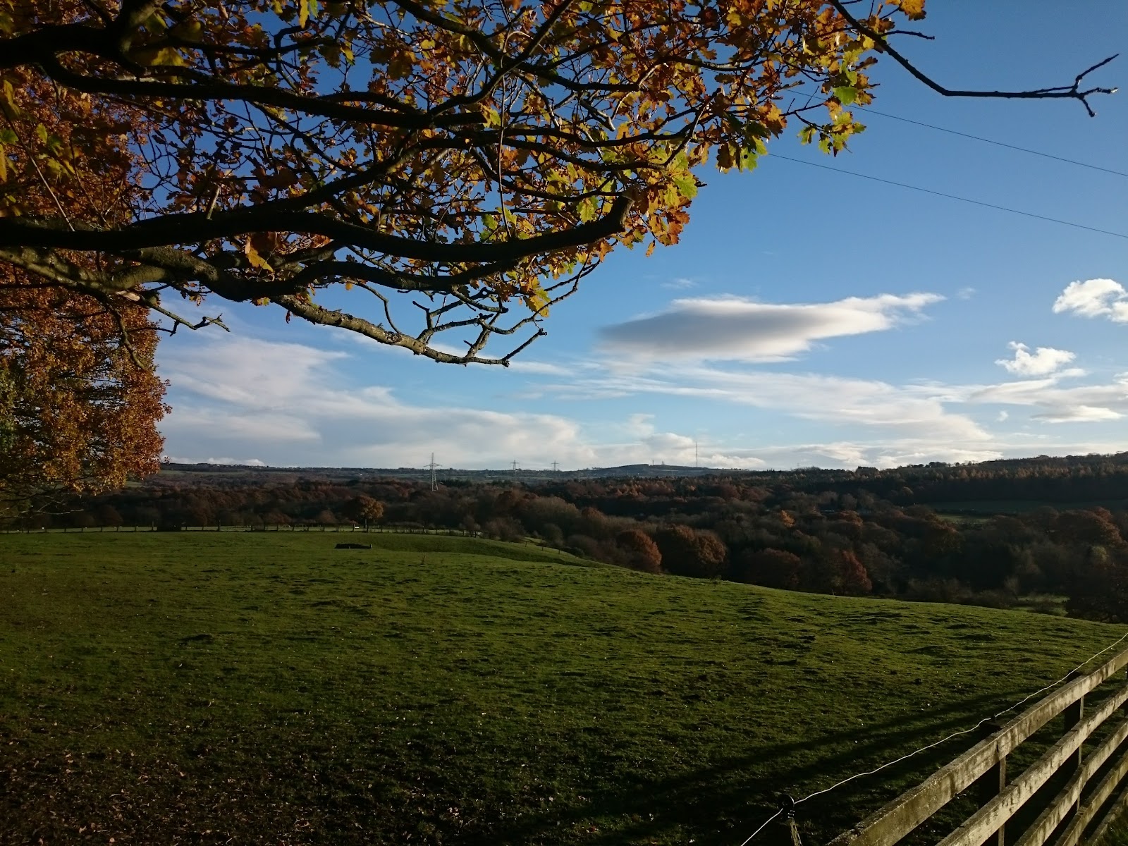 Armondside Farm