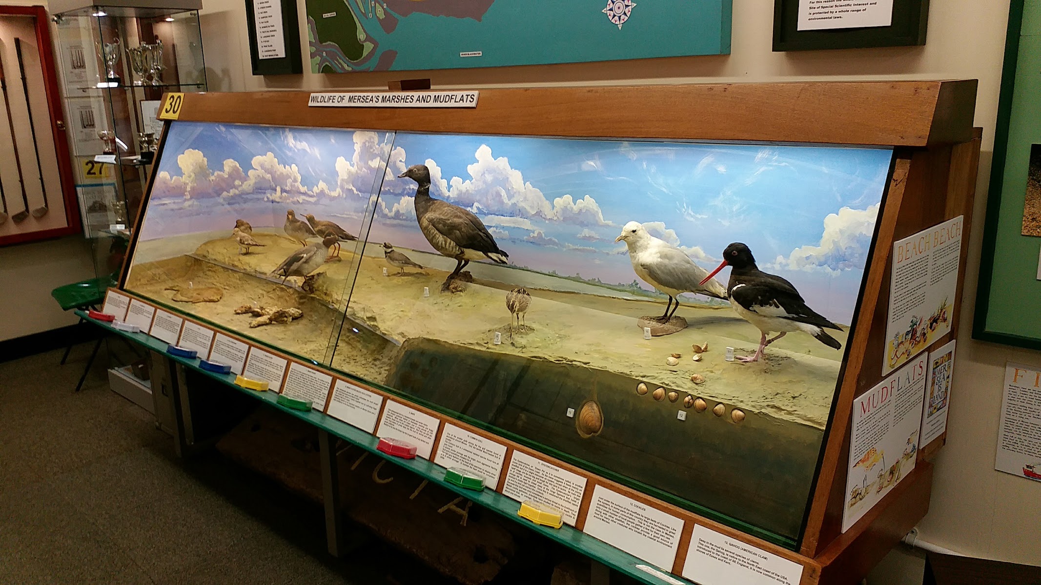 Mersea Island Museum