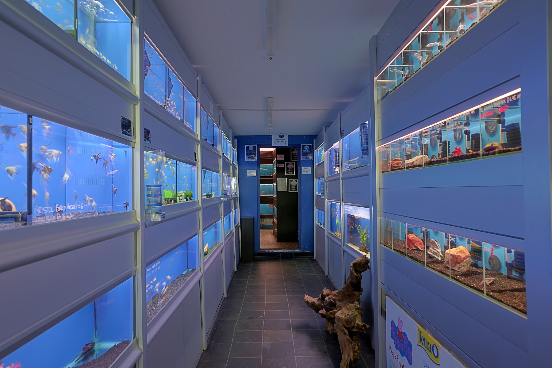 The Aquatic Store