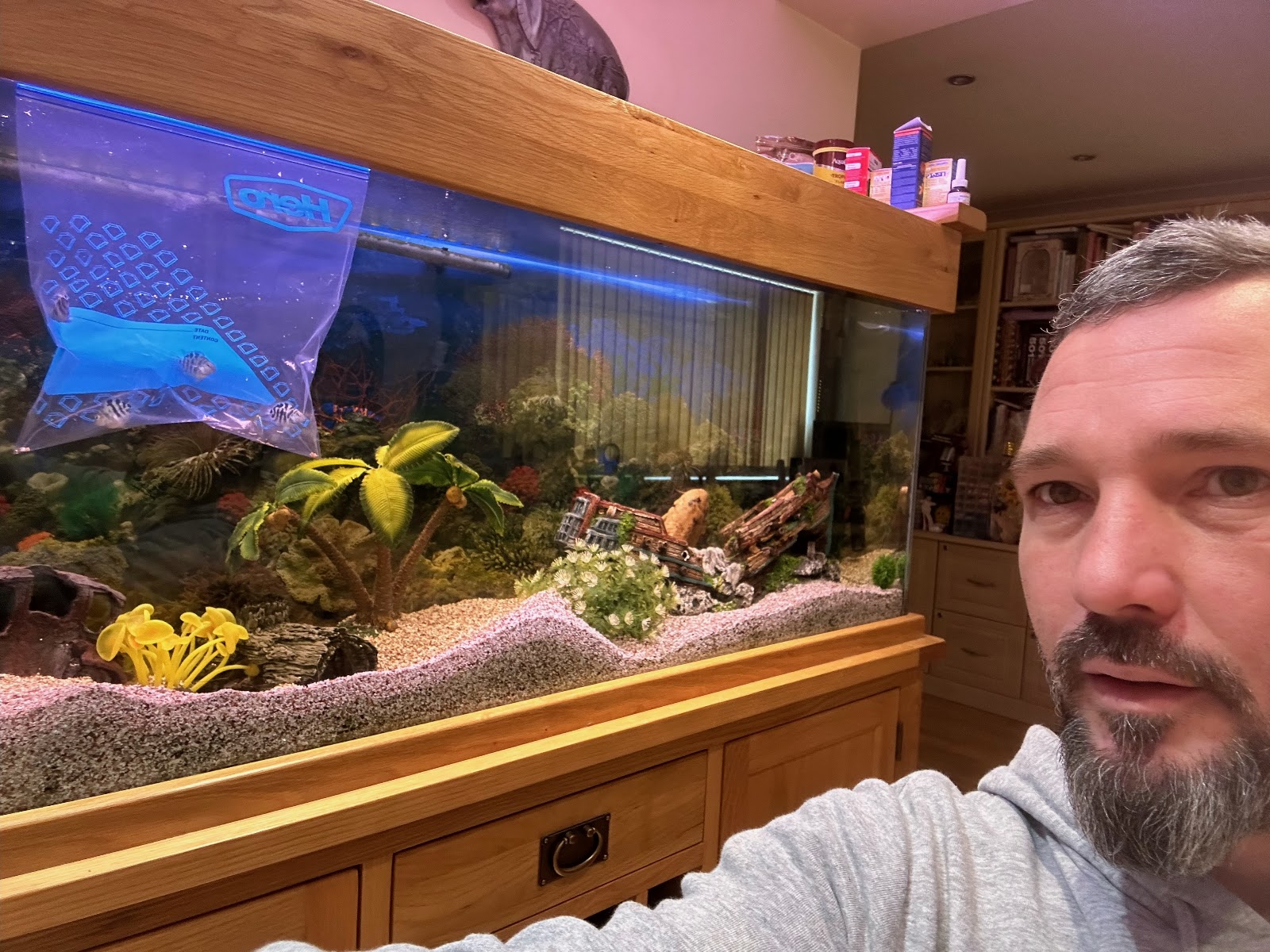 Crystalline Aquatics