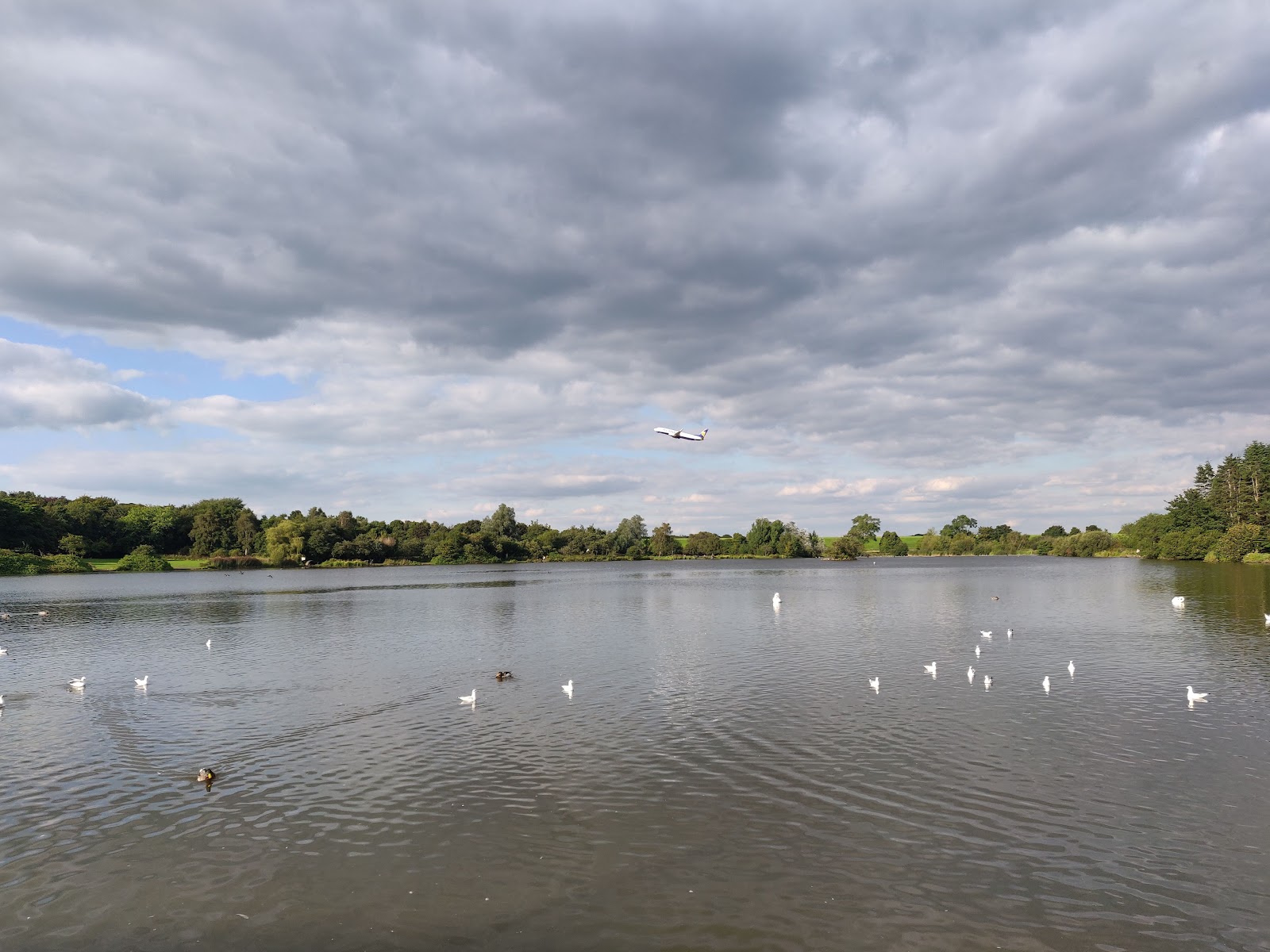 Tarnfield Park, Yeadon