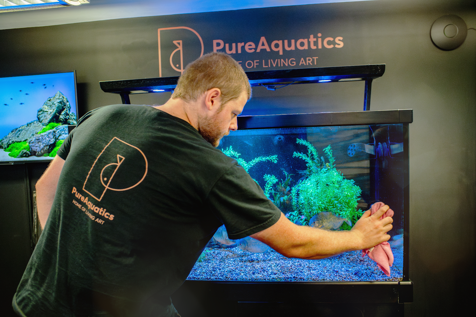 PureAquatics