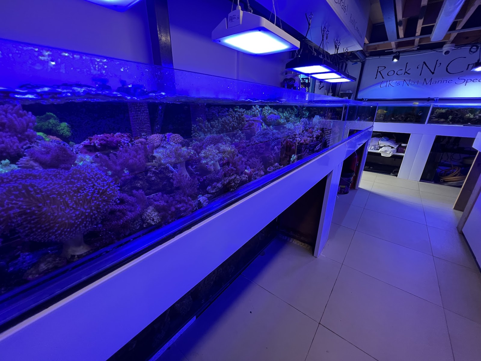 Rock 'N' Critters Marine Aquatics