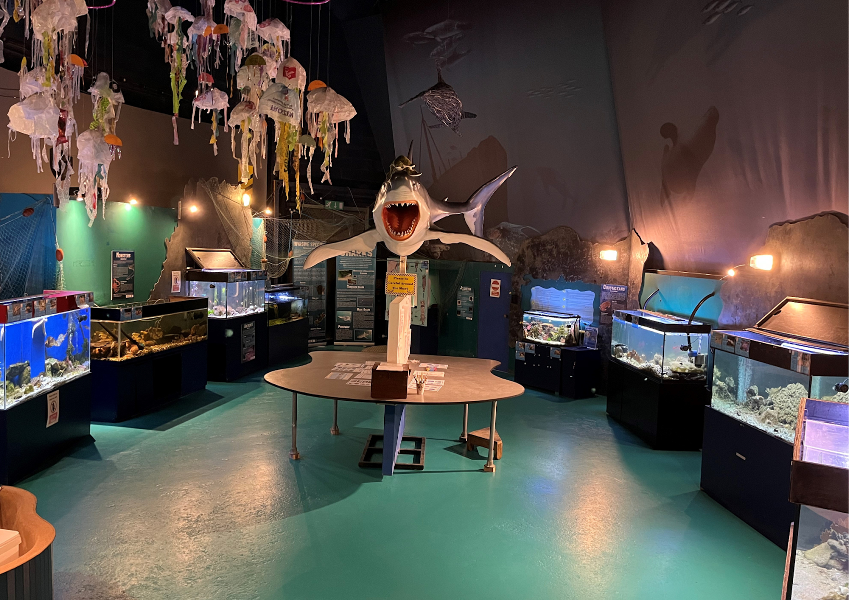 Ocean Lab - Sea Trust Wales