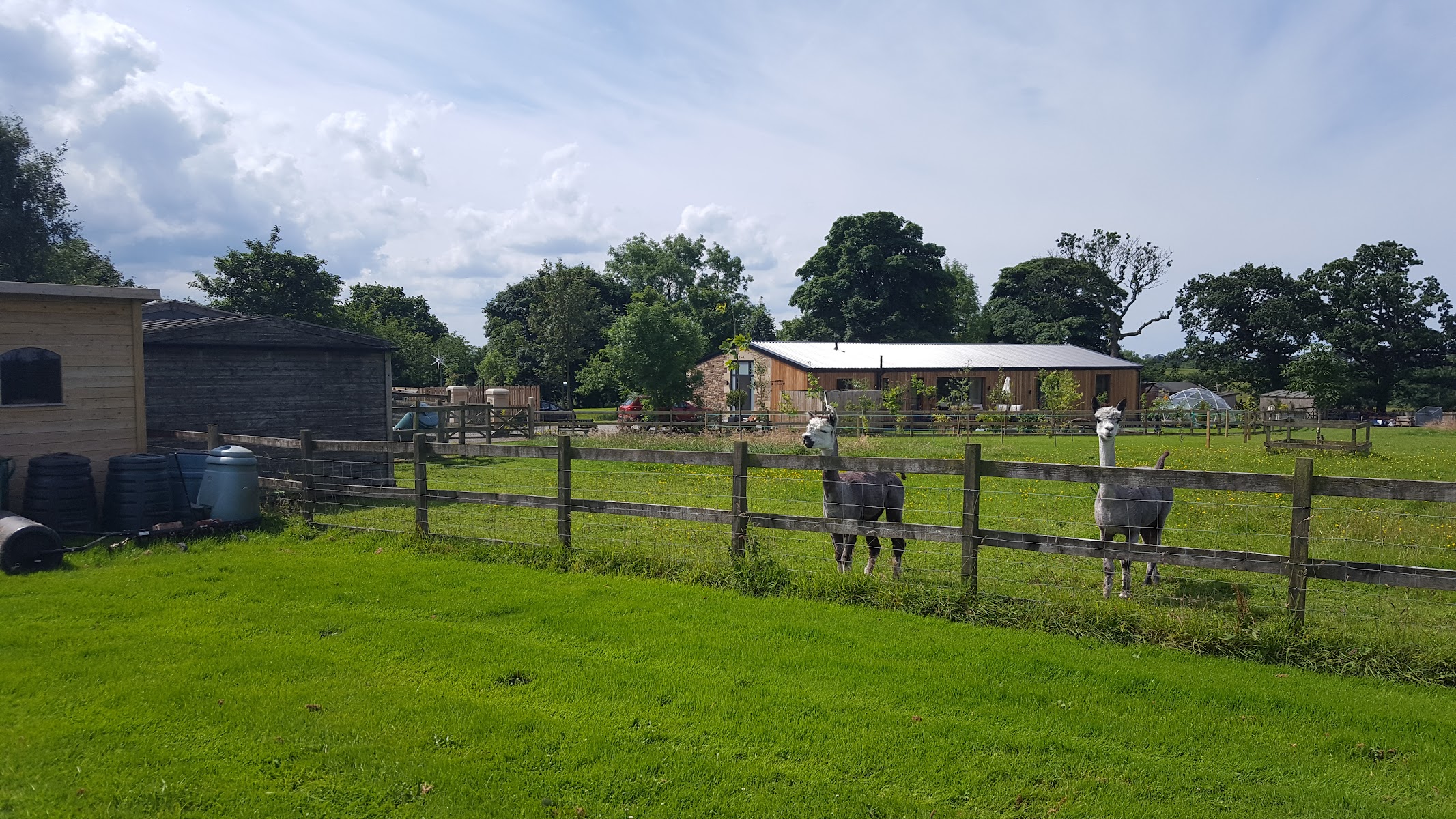 Sudell Alpacas