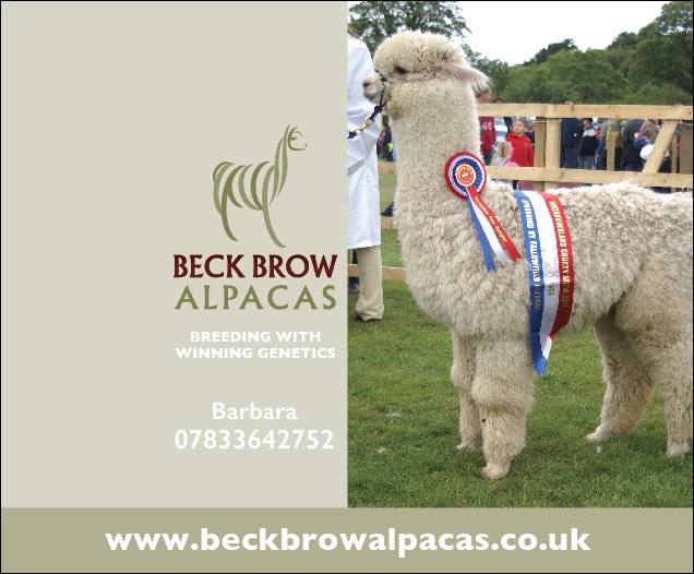 Beck Brow Alpacas