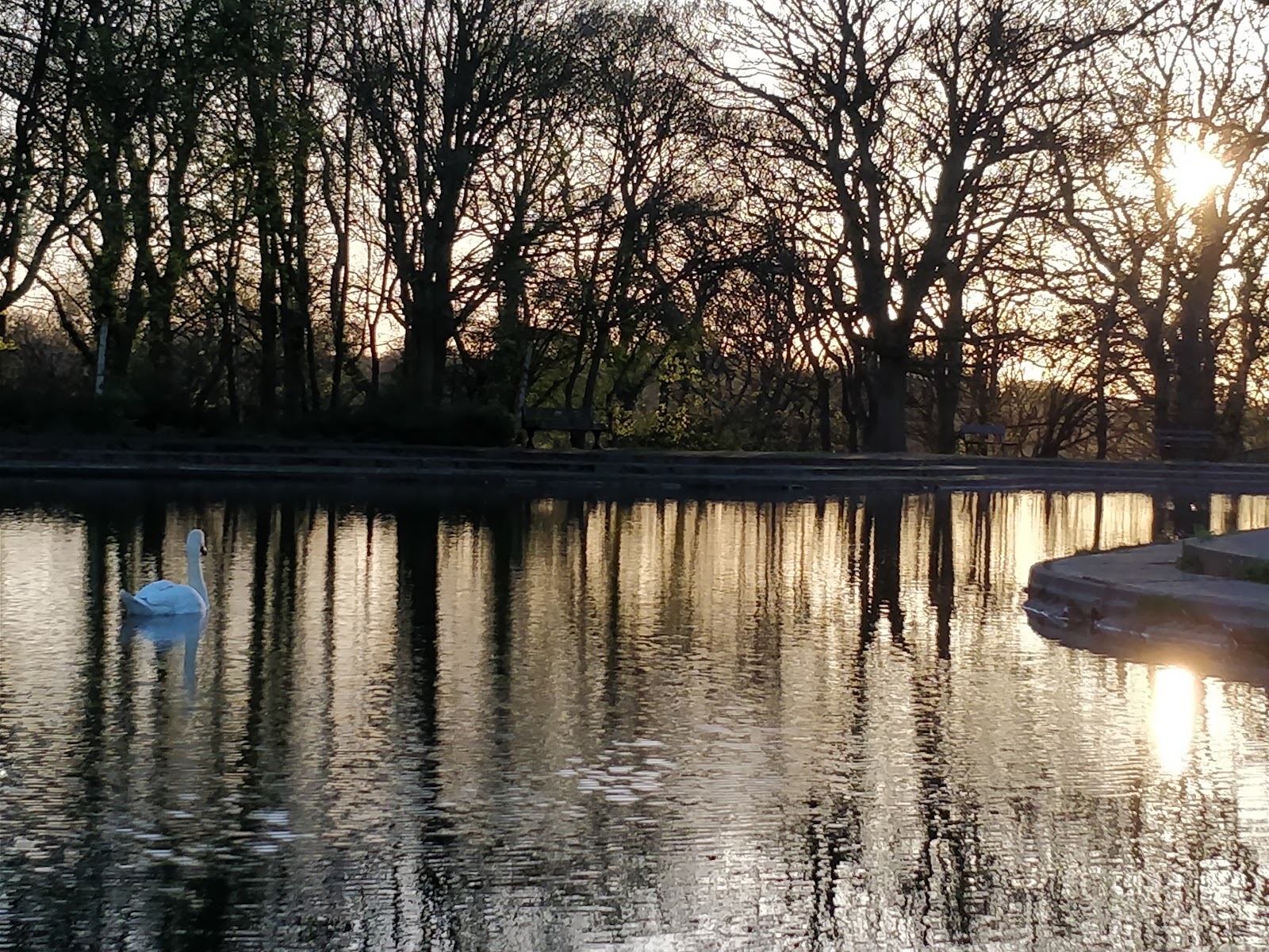 Paddy Freeman's Park