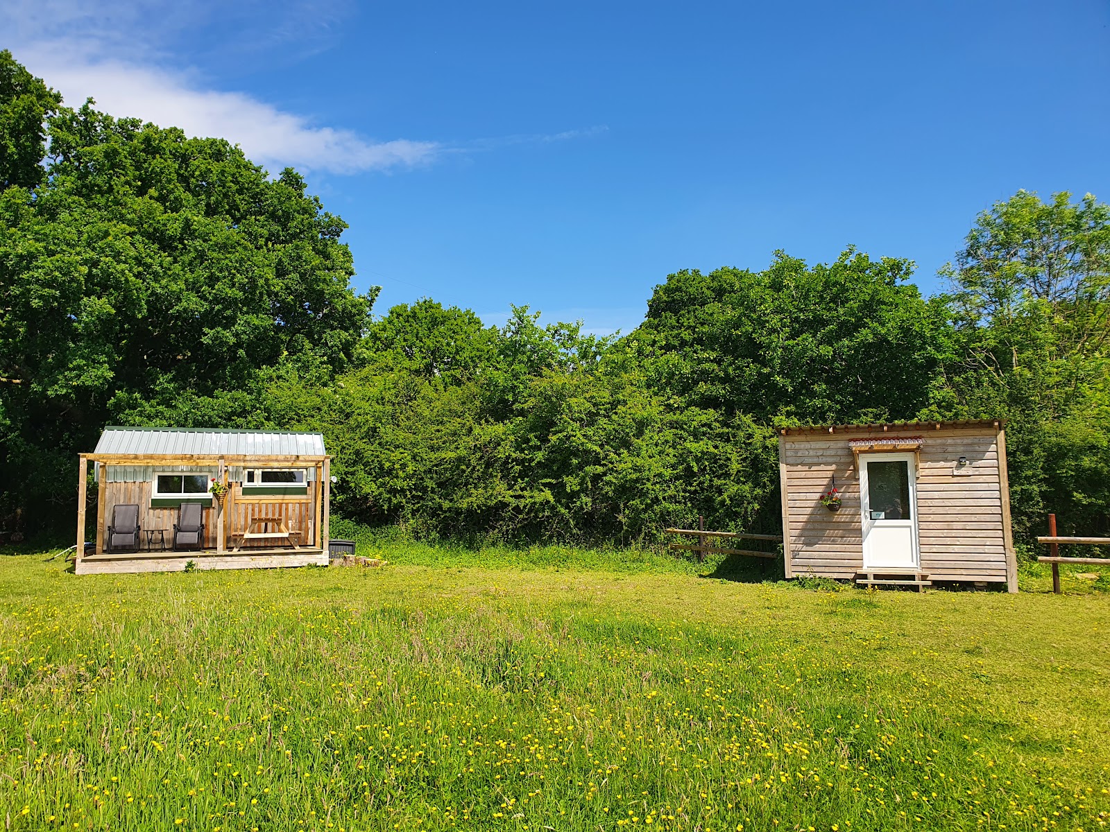 Dartmoor Reach Glamping. Yoga and Alpaca Farm
