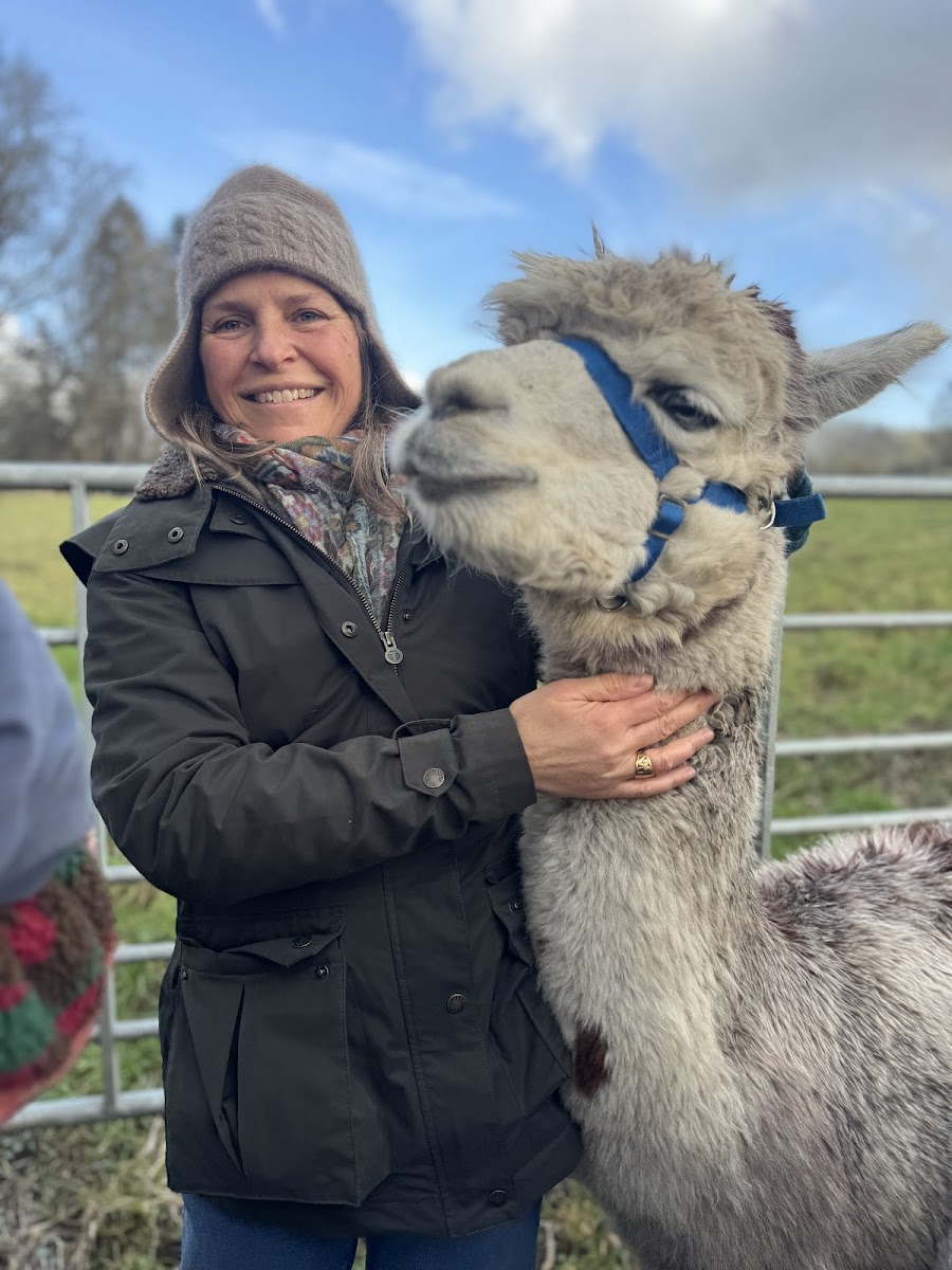 Tibbiwell Alpacas
