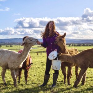Cadbury Alpacas - Alpaca Farm North Somerset