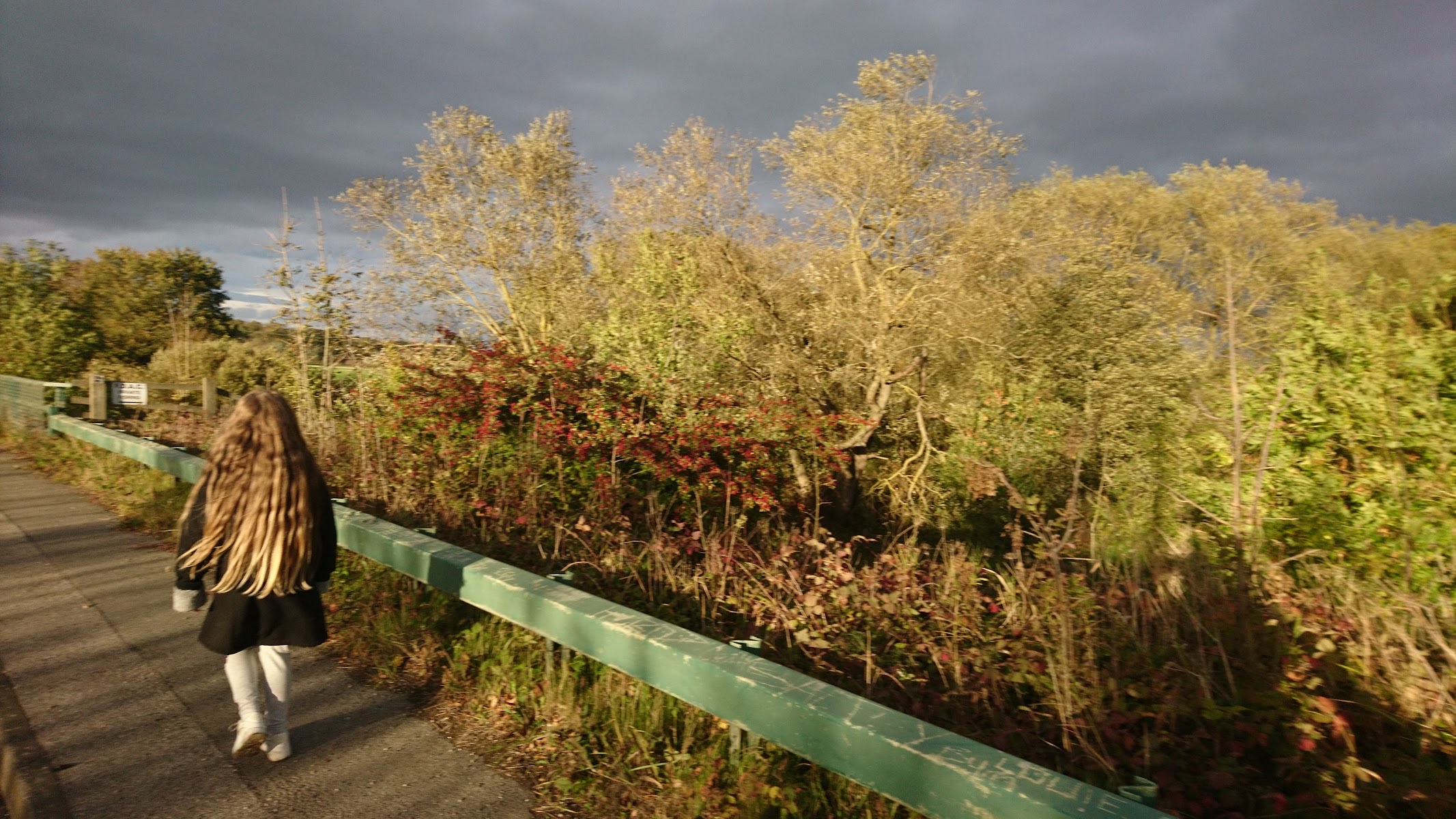 Stañers farm