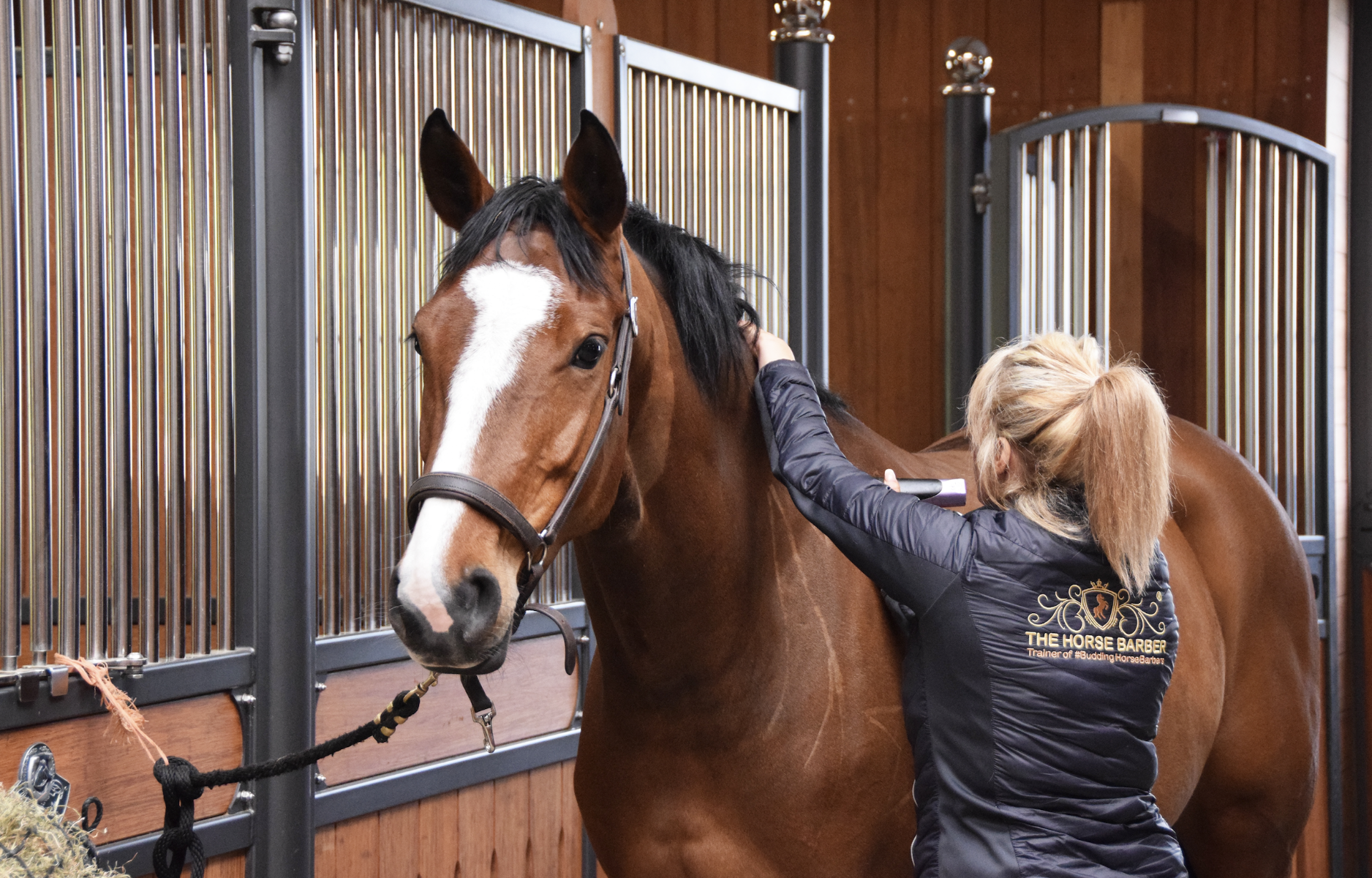 The Horse Barber - Melody Hames