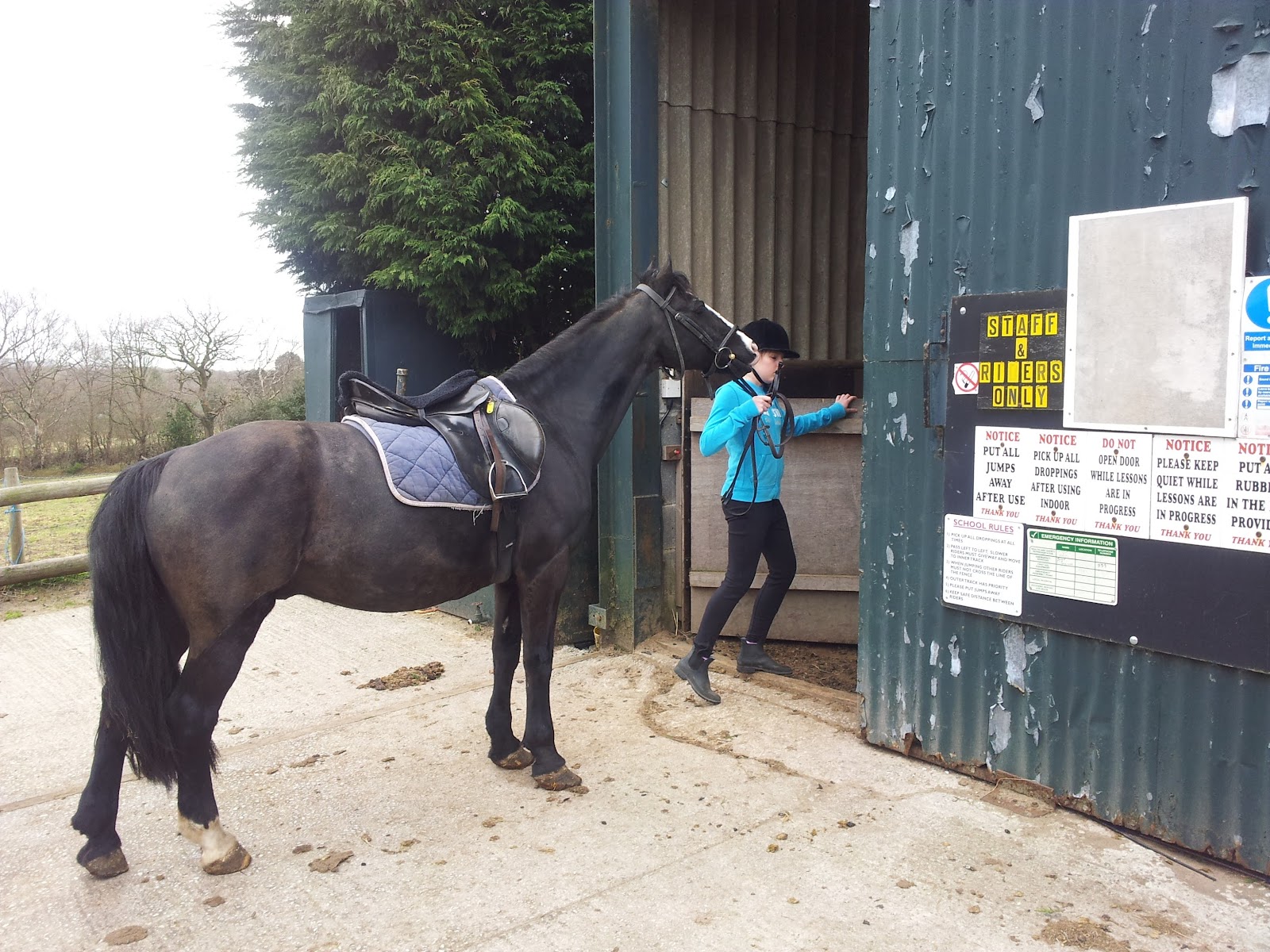 Bank Farm
