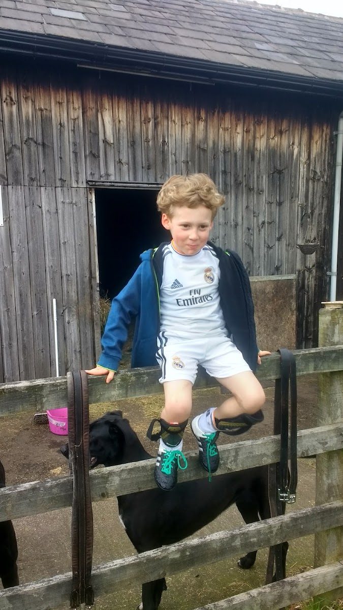 Mosslands Farm