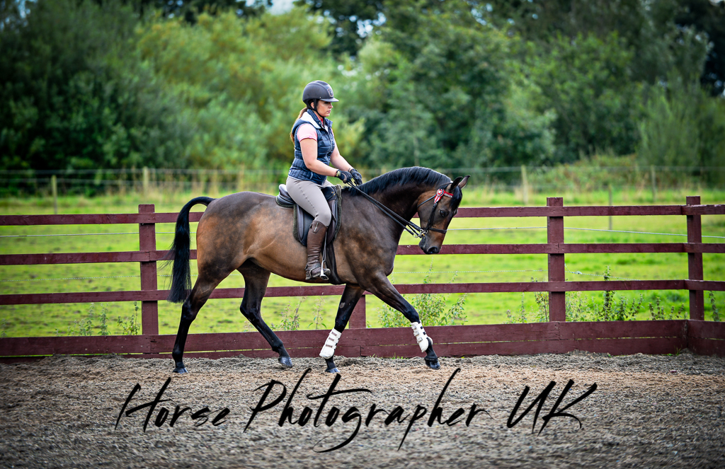 Joanne Shaw Equestrian