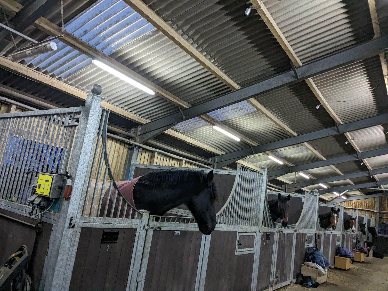 Bowland Equine Therapy