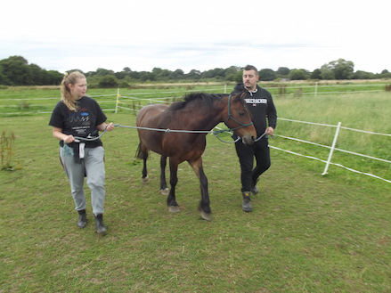 Fairfield Equine Facilitated Wellbeing