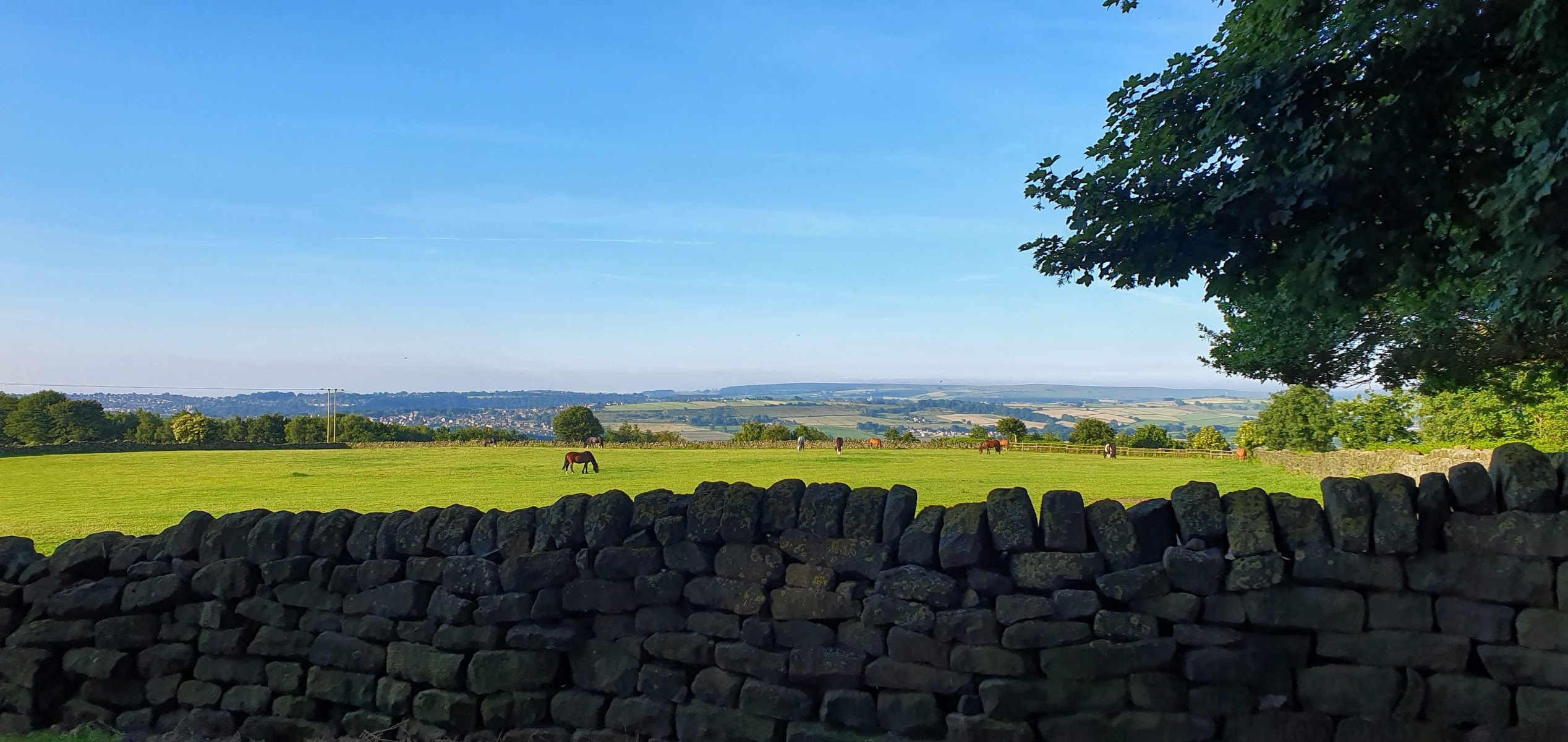 Low Ash Farm