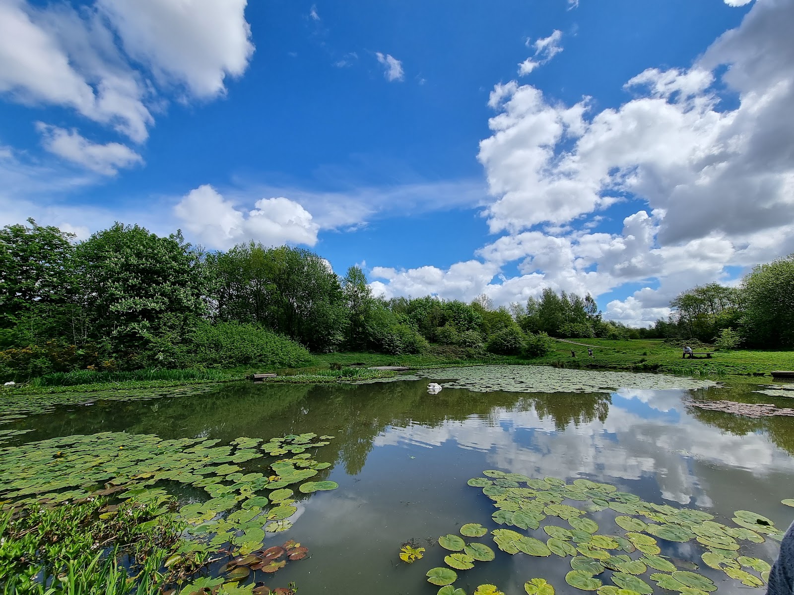 Eatock Lodge Local Nature Reserve