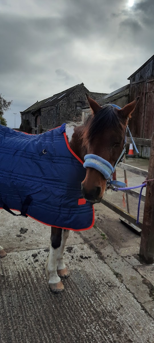 High Fernley Farm Livery Stables