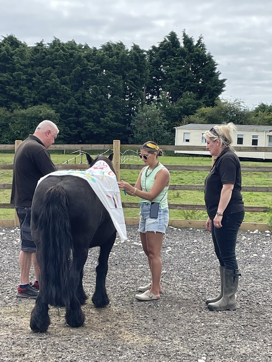 The Way of The Horse