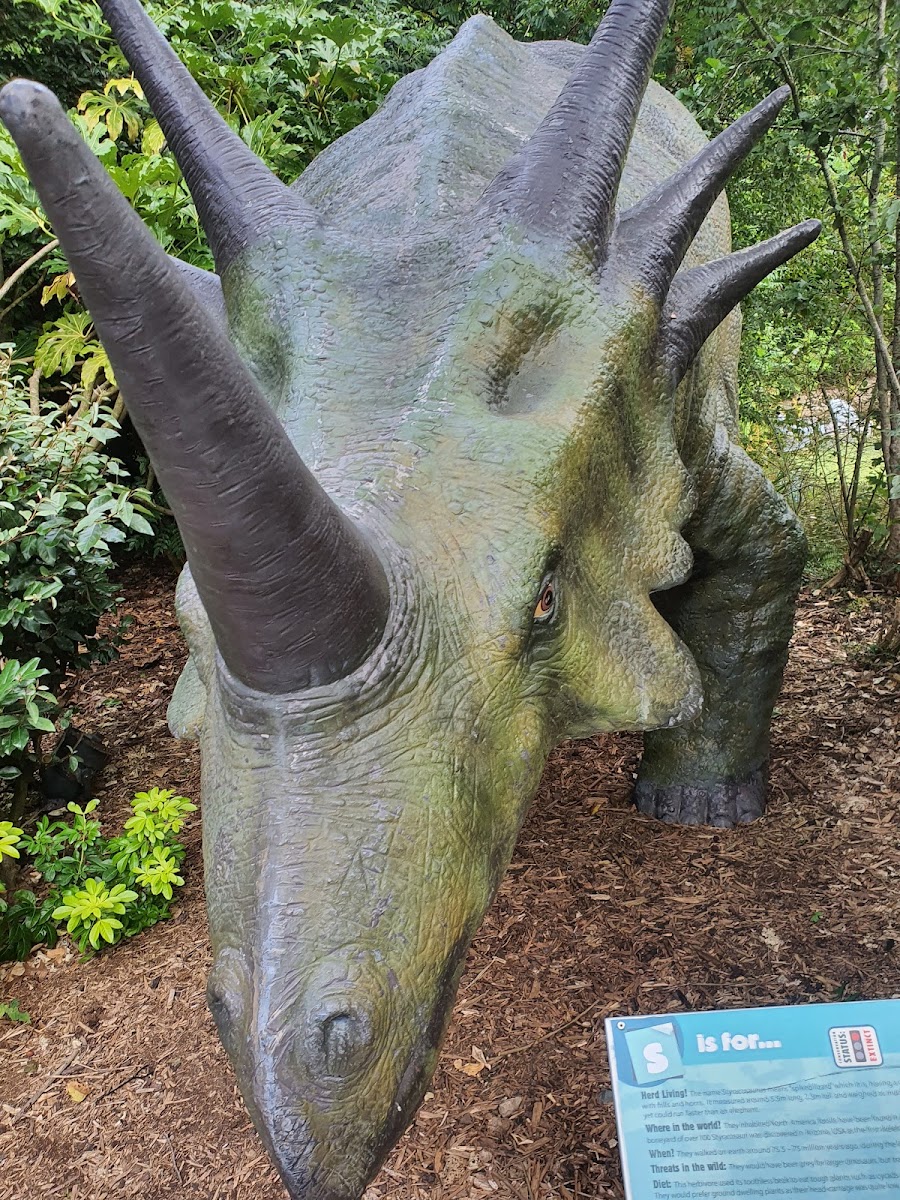 Dinosaur Safari