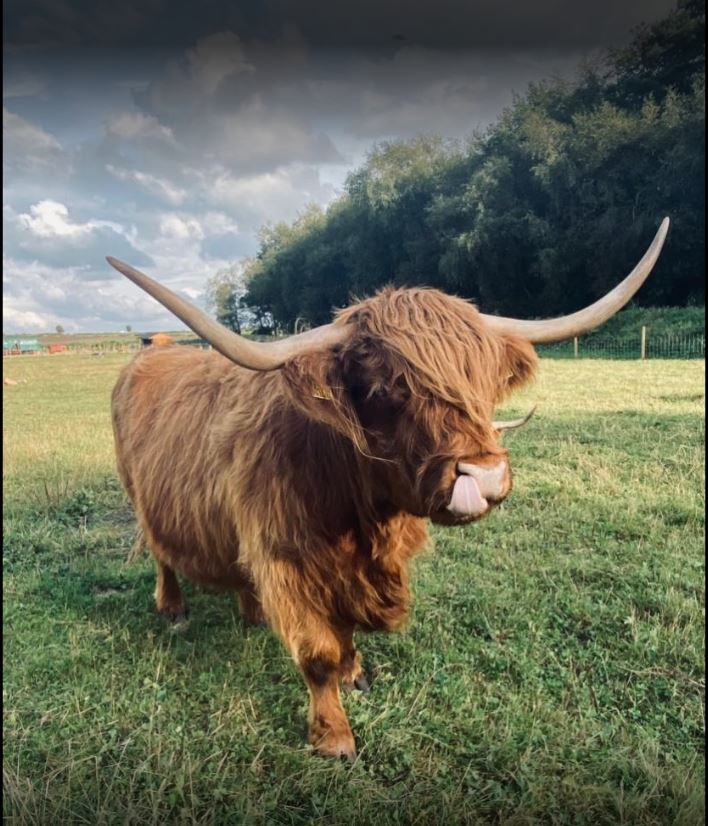 Matlock Farm Park