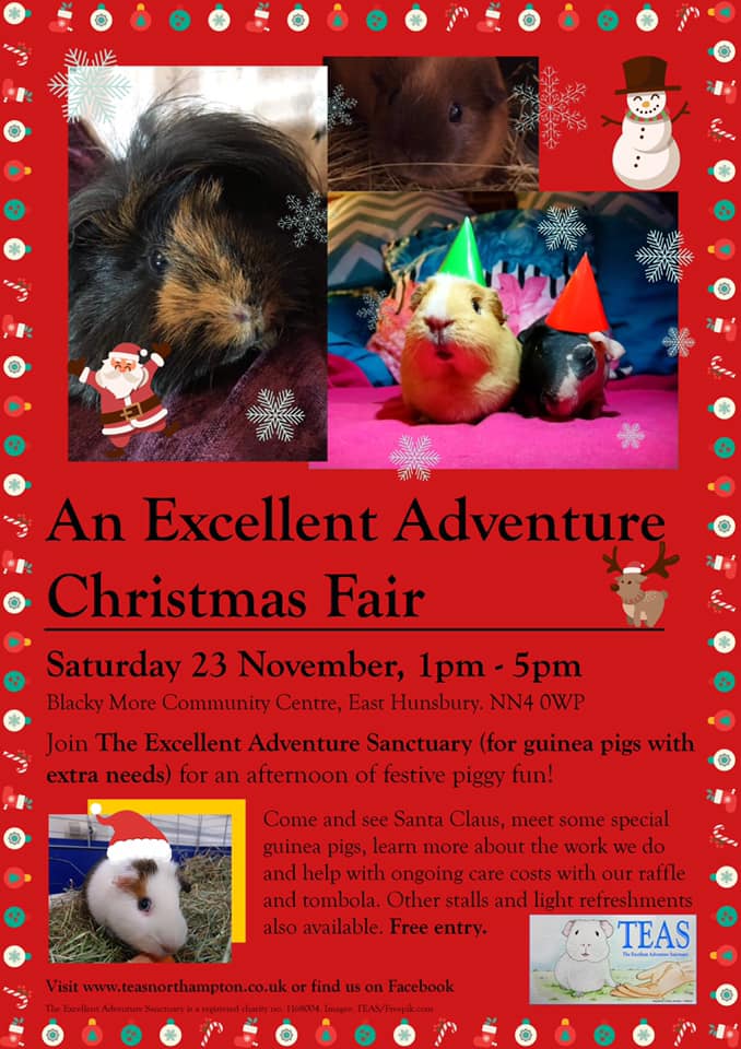 The Excellent Adventure Sanctuary for guinea pigs with extra needs