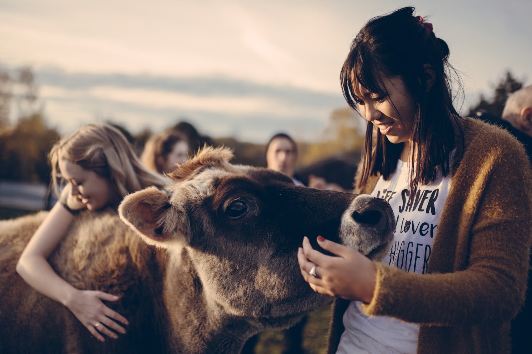 BFAS | Brook Farm Animal Sanctuary