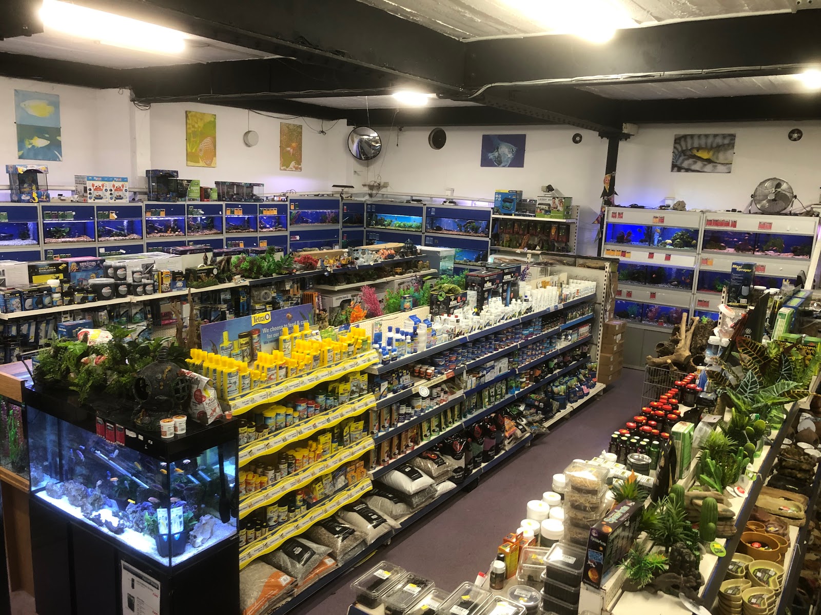Hastings Reptile & Aquatic Centre