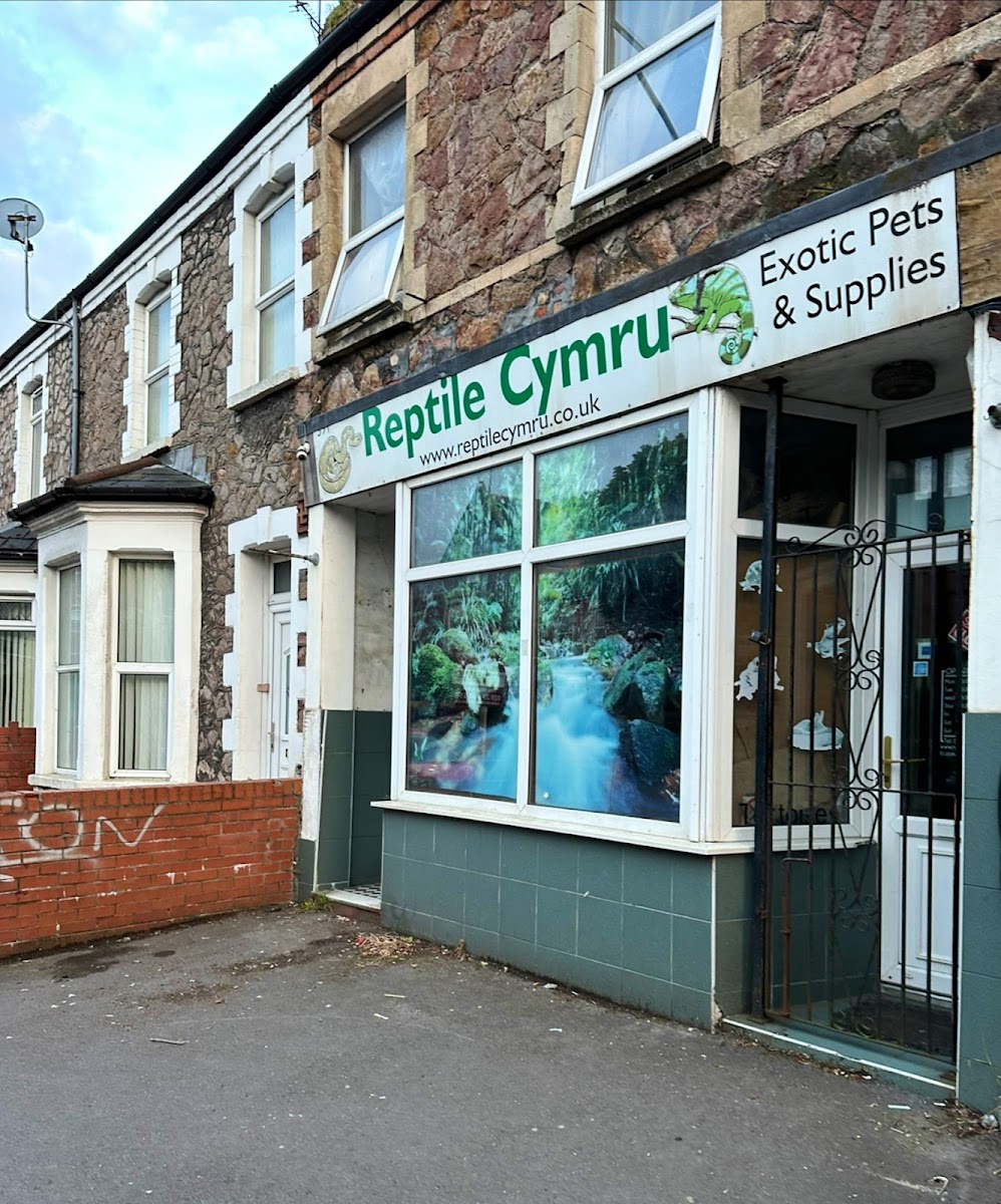 Reptile Cymru