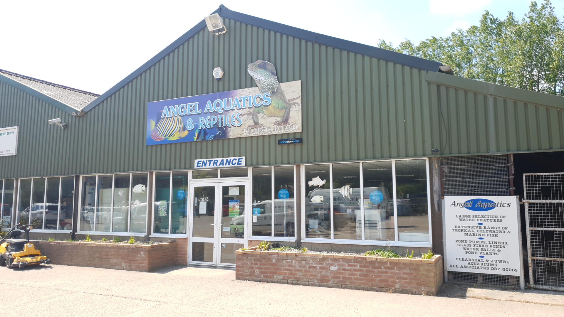 Angel Aquatics