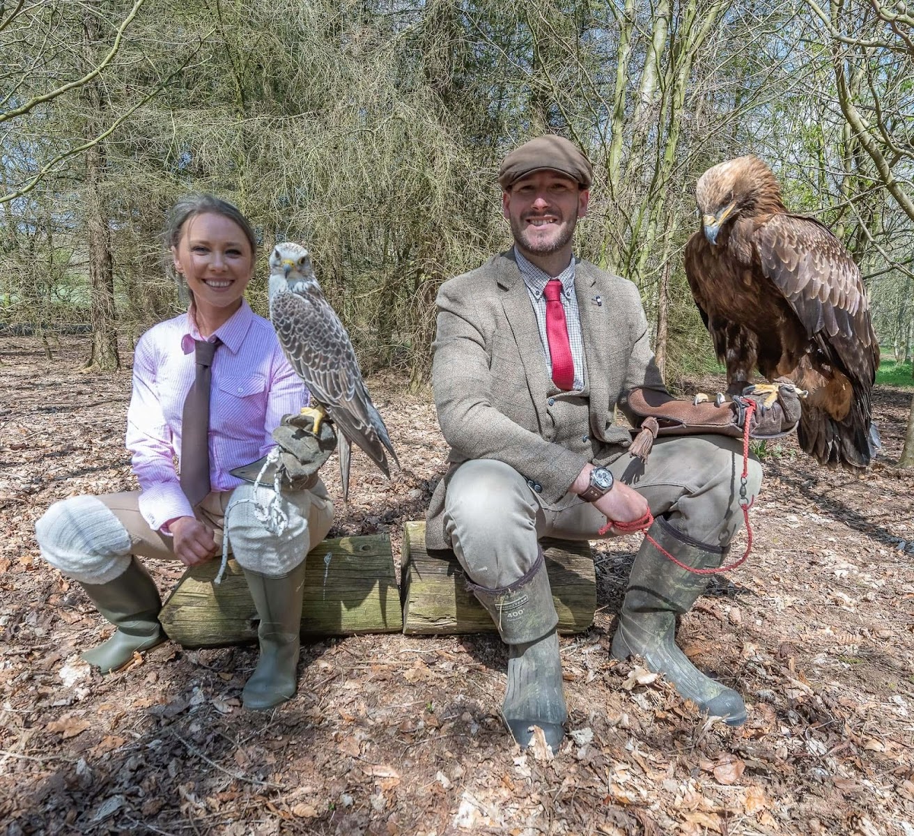 Hawk Walks Falconry Experiences N.I