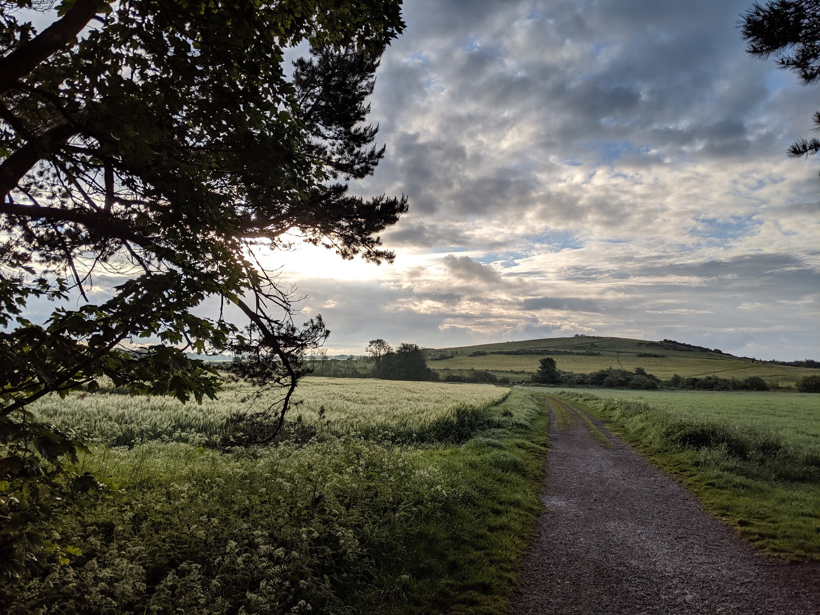 Lockey Park