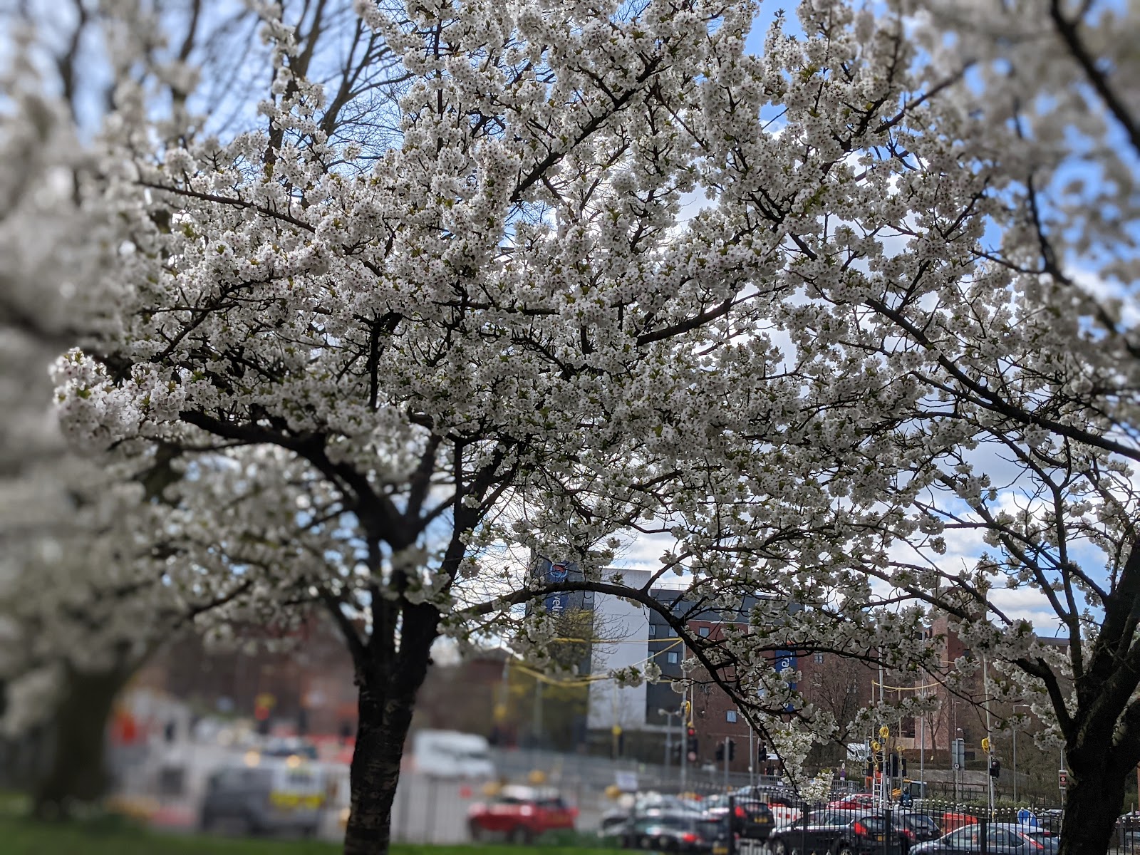 Bradford street compact park