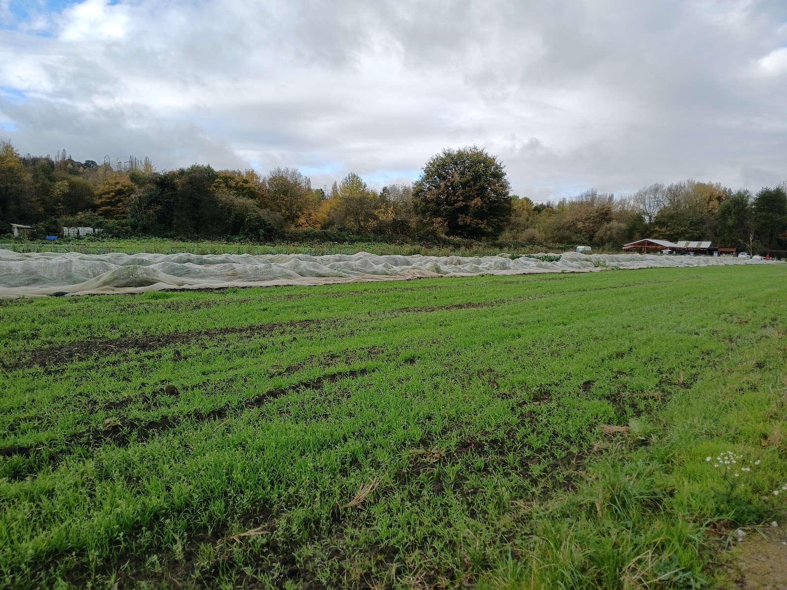 Kirkstall Valley Farm
